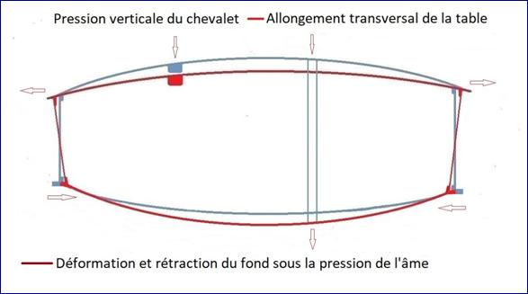 allongement transversale de la table